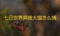 七日世界异维大猫怎么捕捉